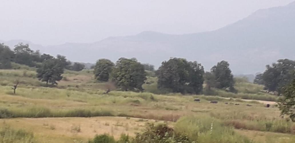 Karjat Mountain Villa Exterior foto